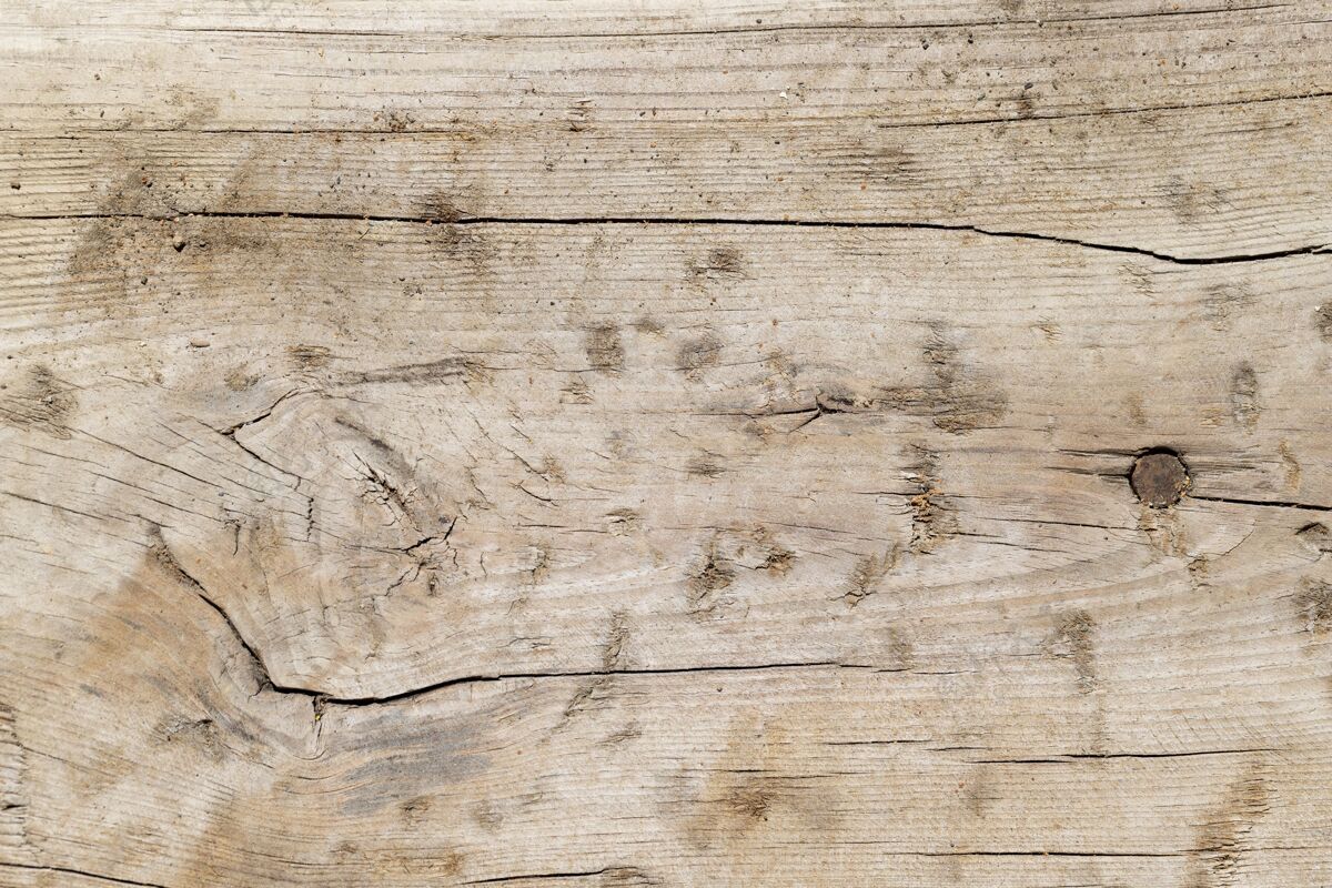 木头特写木材纹理背景墙纸表面木头背景