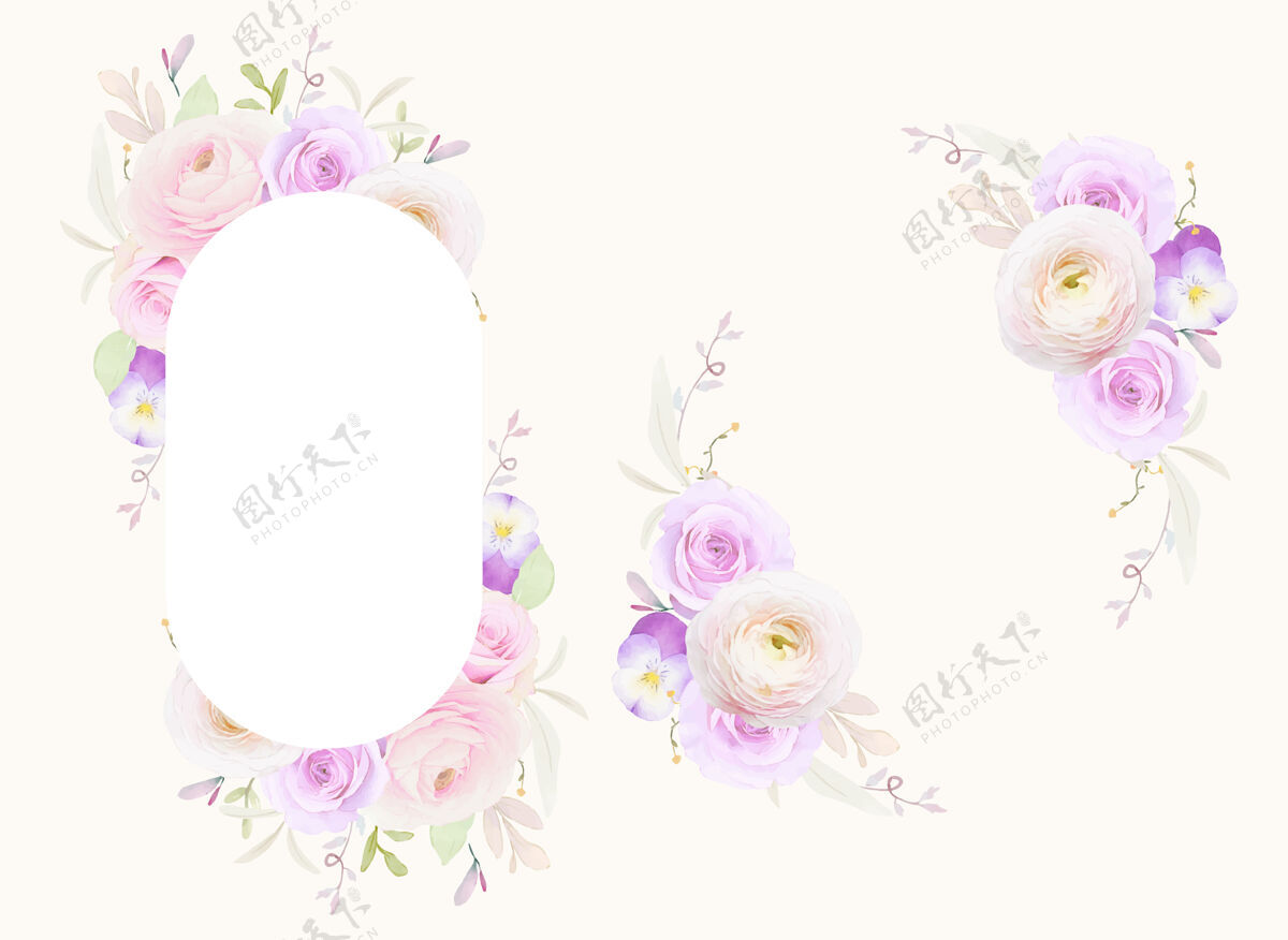 水彩美丽的花架与水彩玫瑰 毛茛和三色堇花画框套装植物