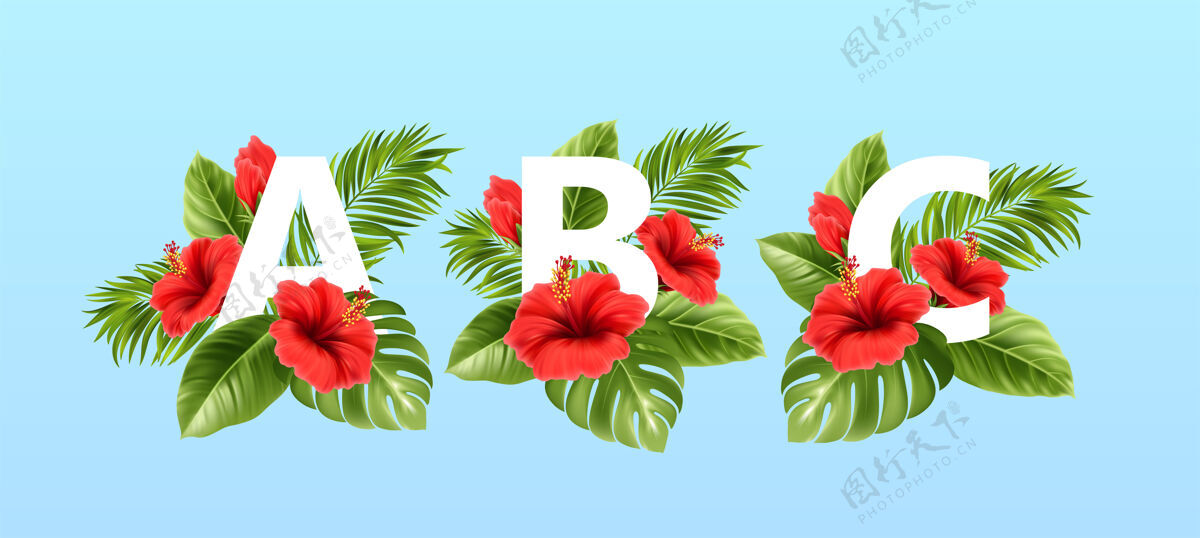 芦荟被夏天的热带树叶和红色的芙蓉花包围的字母热带雨林花字体