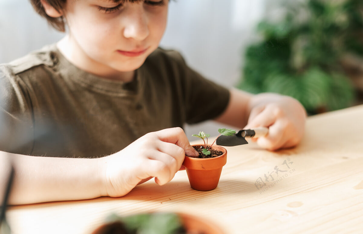 花儿童园丁盆栽植物男孩培养热带