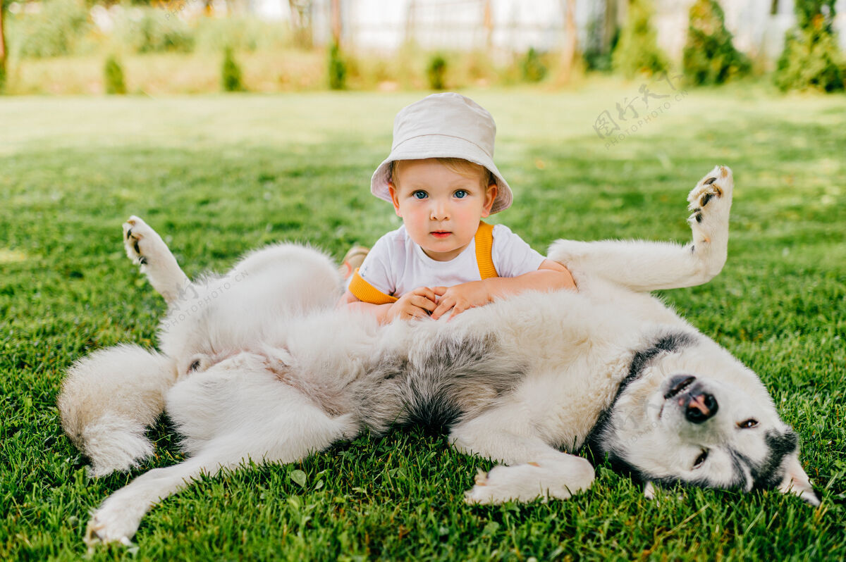 爱一个有趣的小男孩在花园里和狗合影哈士奇狗自然