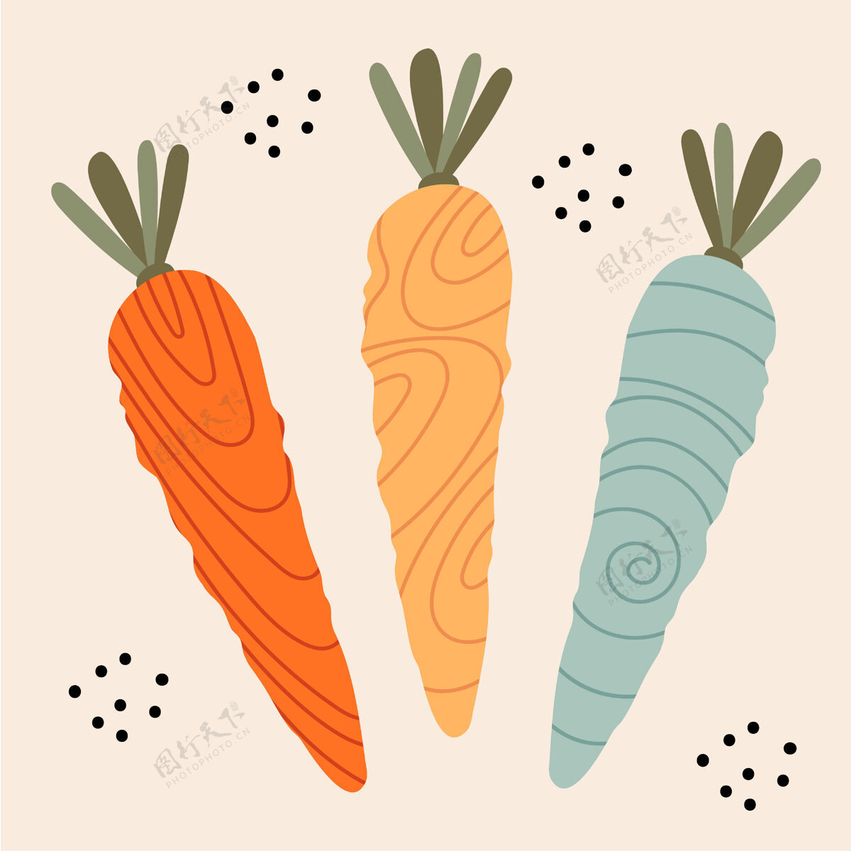 斯堪的纳维亚有趣的多色胡萝卜 不同的质地叶子食物蔬菜