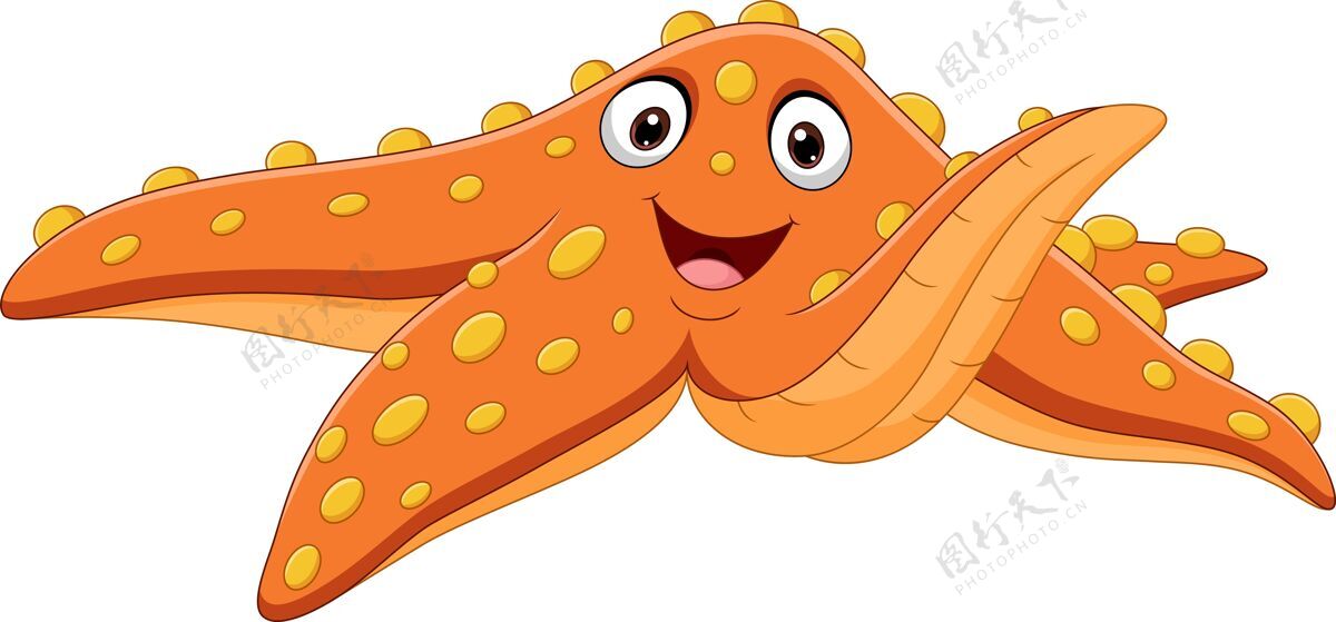 幼稚卡通橙色海星隔离海洋生物野生动物橙色