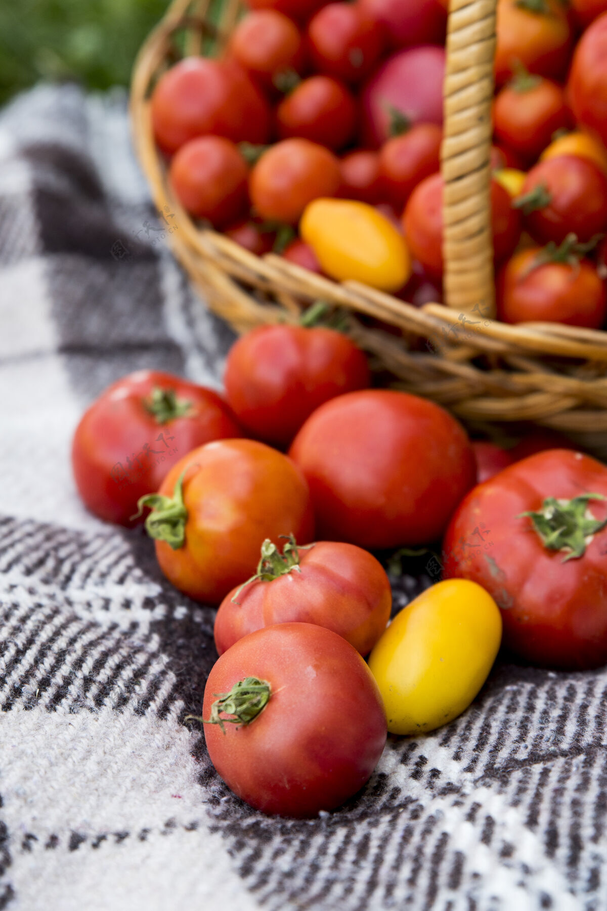 农场桌子上放着西红柿的篮子毛毯新鲜的花园里的有机食物收获有机食品有机