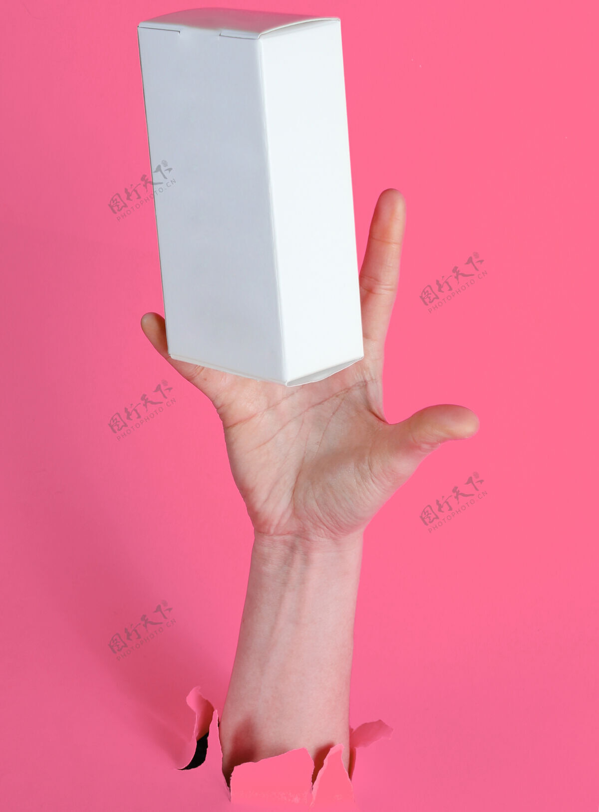 人母手抓住白色盒子穿过撕破的粉红色纸简约创意理念礼品运输撕破
