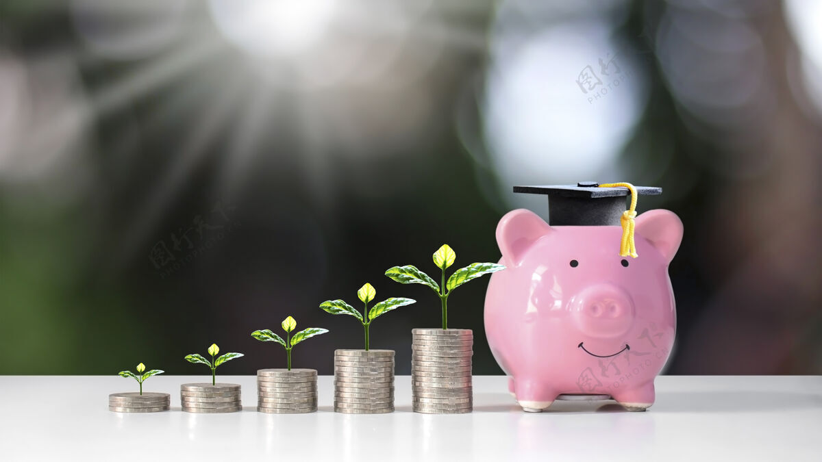奖学金种植在硬币堆上的植物和放在存钱罐上的研究生帽 模糊了绿色的自然背景 教育和金融理念投资金融小猪