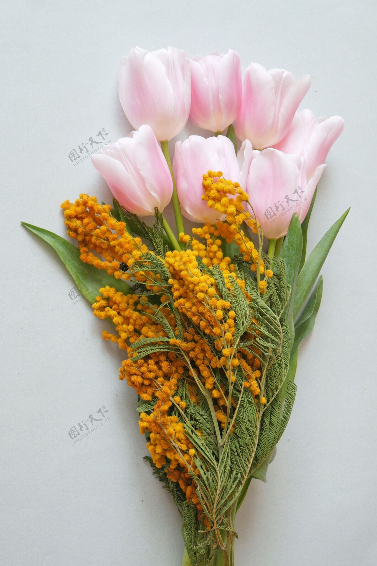 束美丽的粉红色郁金香和含羞草花婚礼庆祝生日