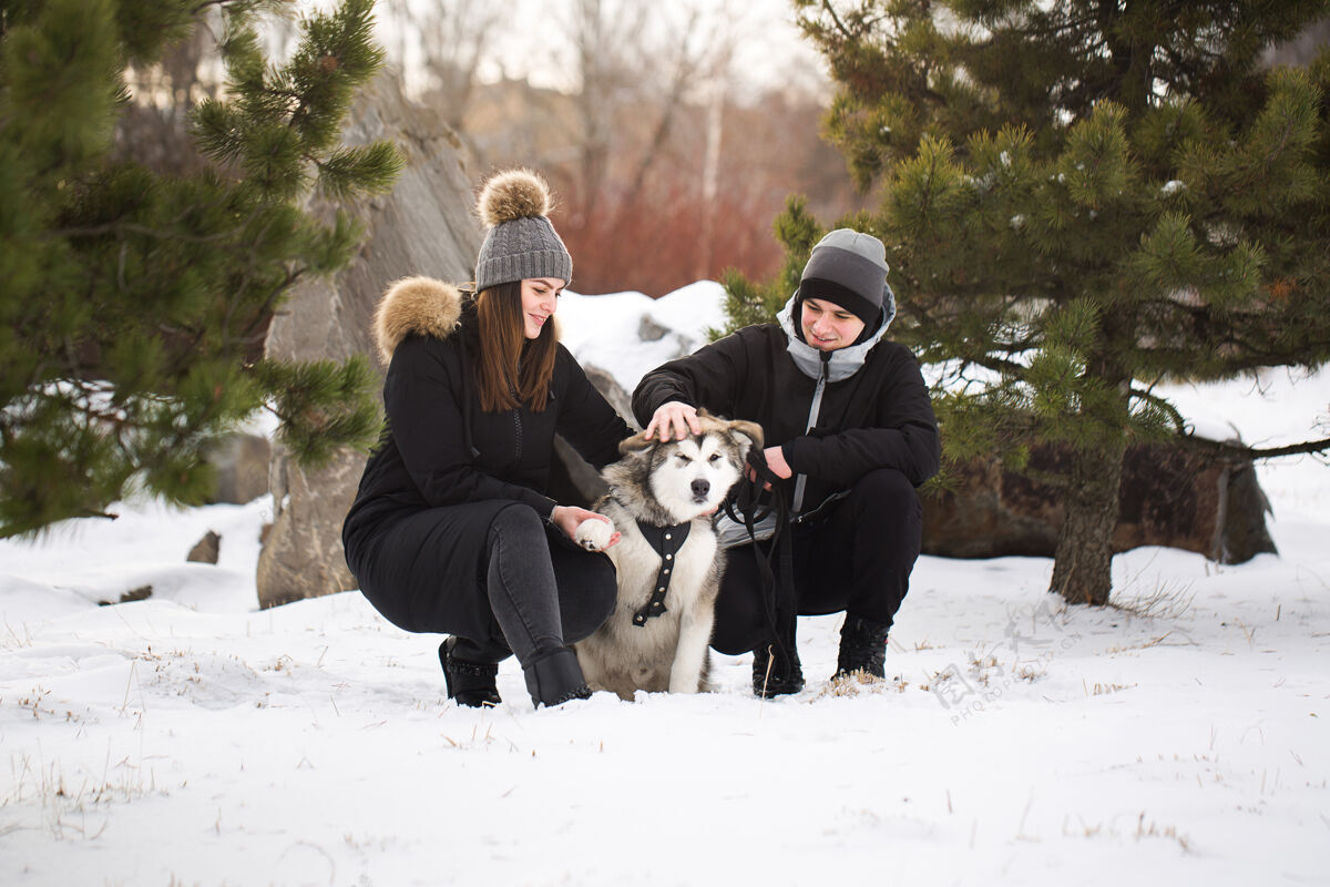 宠物美丽的家庭 一个男人和一个女孩在冬天的森林里狗玩和狗西伯利亚哈士奇帽子动物哈士奇