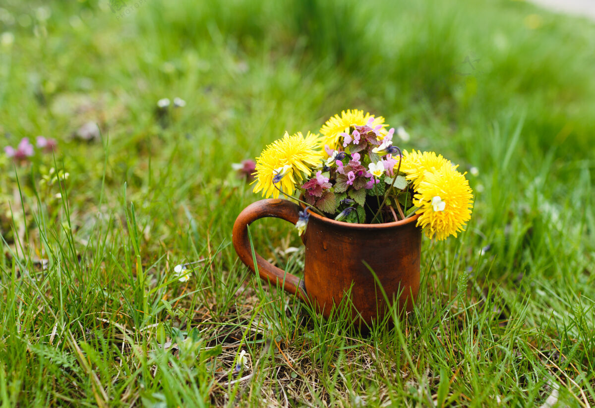花一个粘土杯 上面放着一束春天的鲜花草坪关闭-起来花草装饰