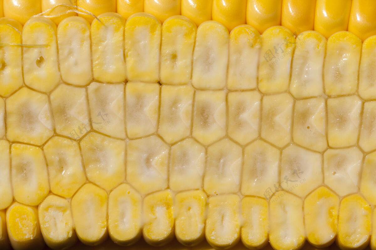 农村内部结构的玉米棒 切成两半干燥器玉米棒切割