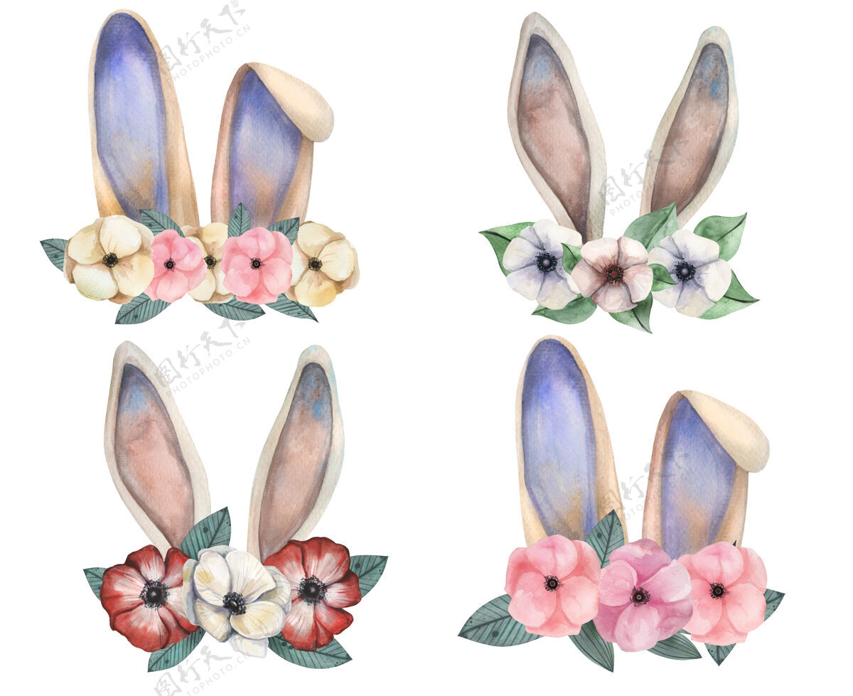 插图可爱的水彩兔子耳朵与温柔的老式海葵花环集兔子耳朵玫瑰植物花环