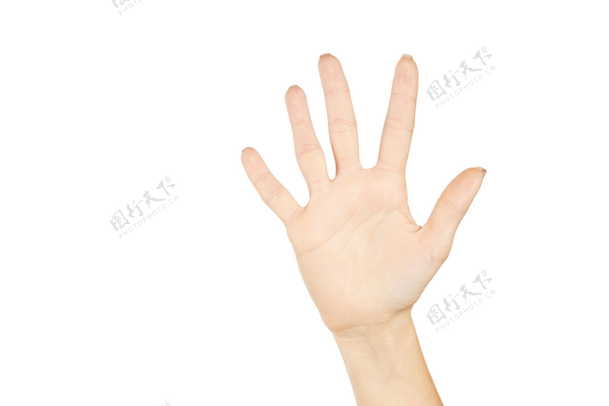 手掌张开手的白人女性palm.编号五点五分一怀特做手势概念手腕停止男性