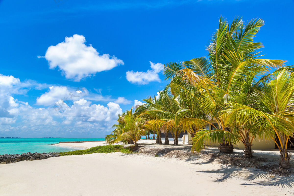 海洋马尔代夫岛的热带海滩泻湖旅游度假
