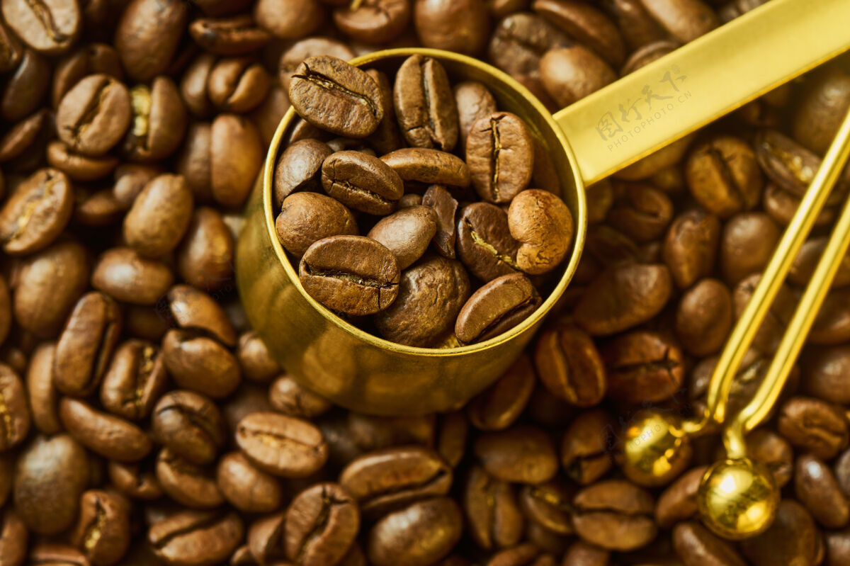 早晨咖啡豆在测量勺和袋夹对新鲜烤咖啡 浅领域的深度夹自助餐厅烤