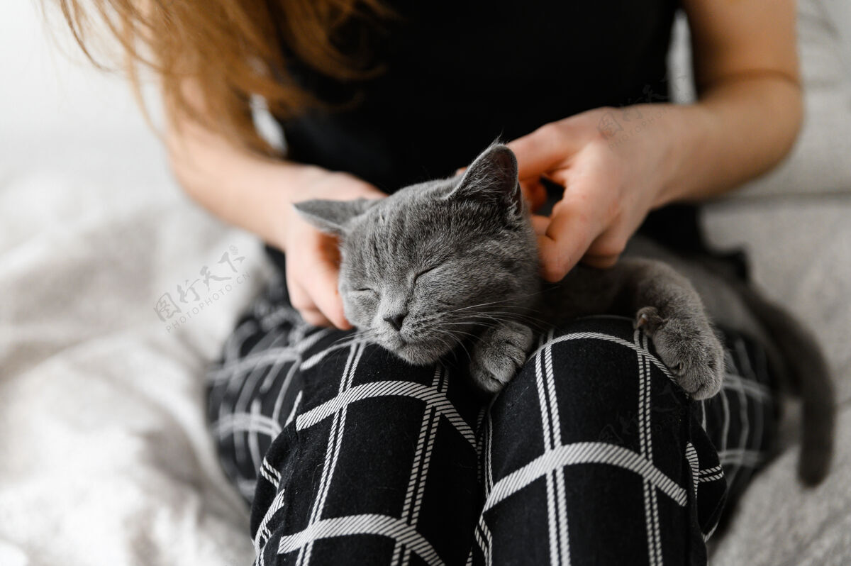 女人穿着睡衣的女孩抱着心爱的宠物武器苏格兰的小猫在女孩怀里护理朋友感情
