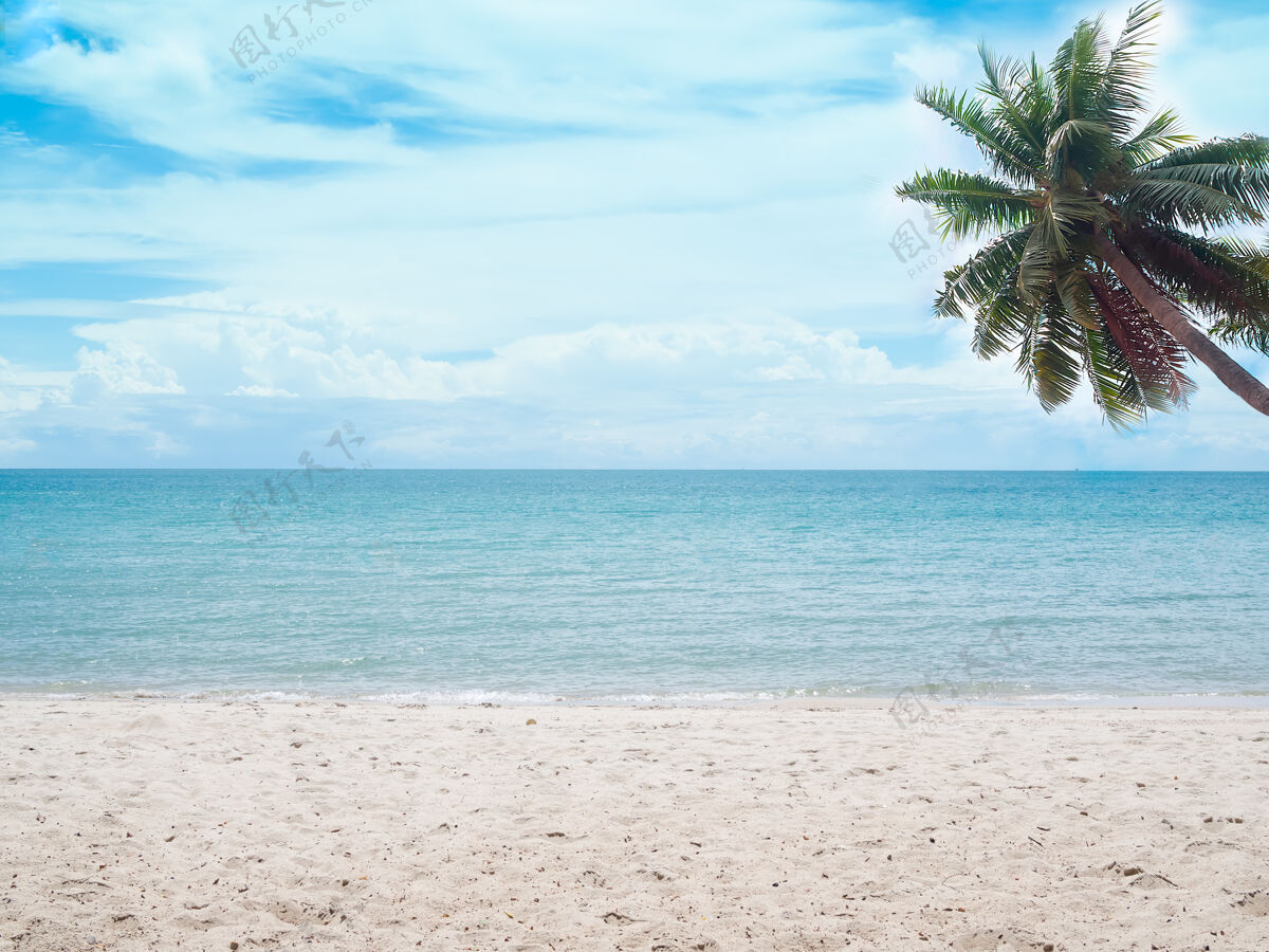 棕榈树海边有沙滩和椰子树 碧海蓝天海洋海岸天空