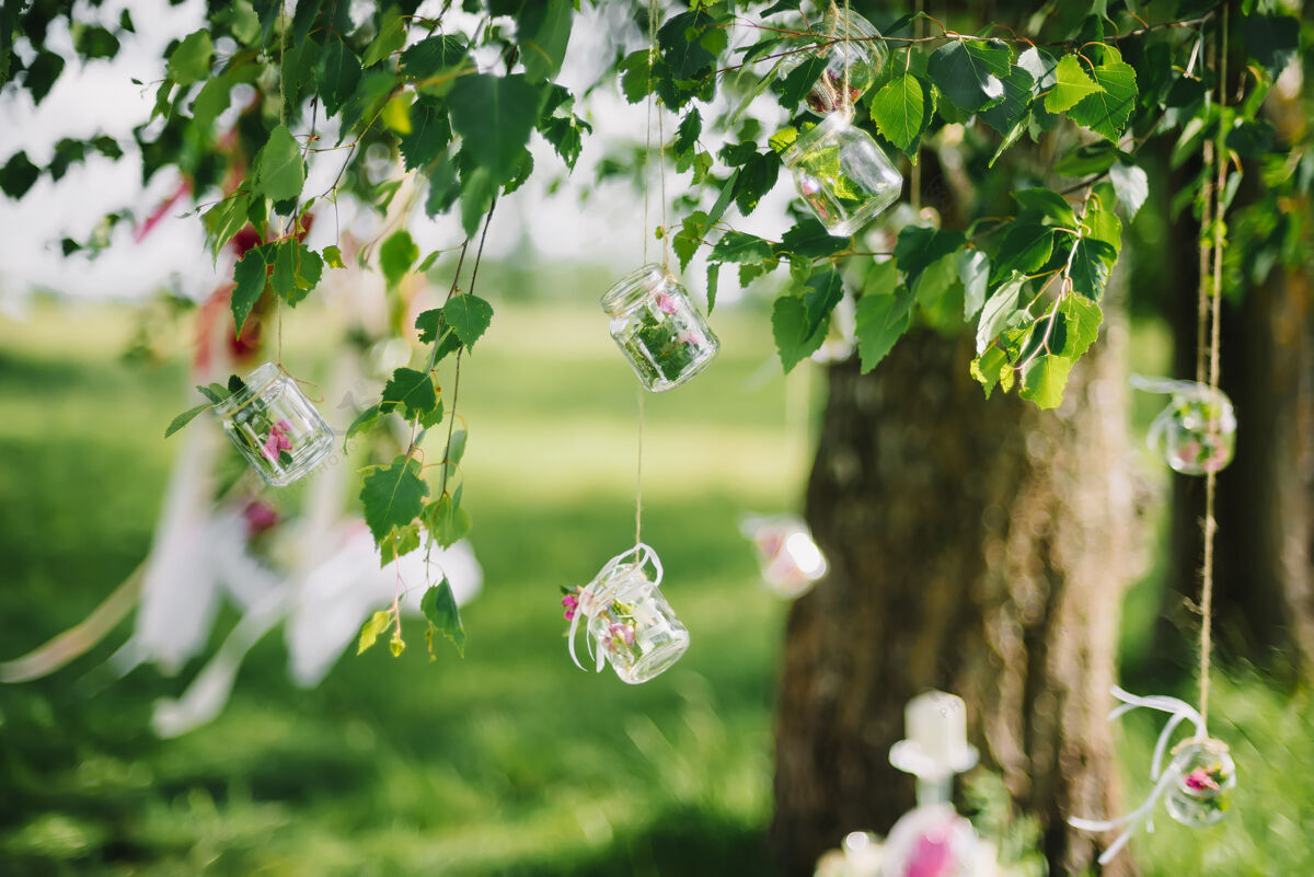 悬挂婚礼装饰罐与鲜花挂在绳子上的桦树枝在夏天花边爱户外