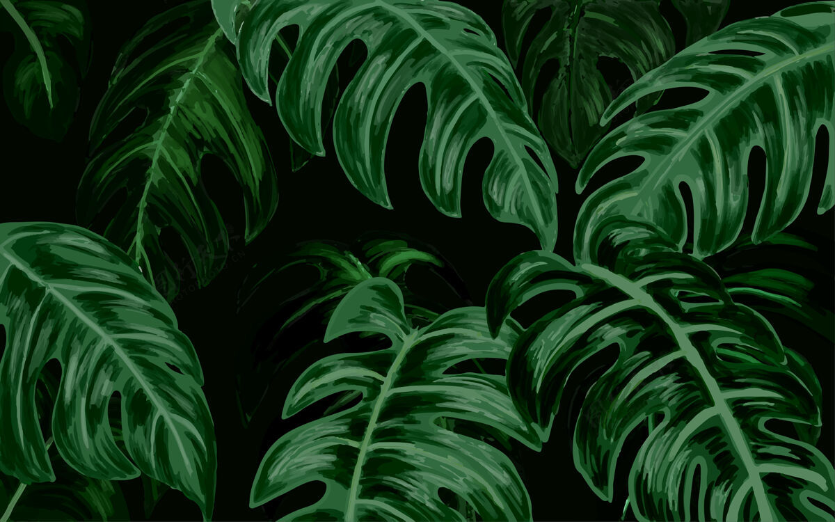 热带热带植物背景怪兽深色植物