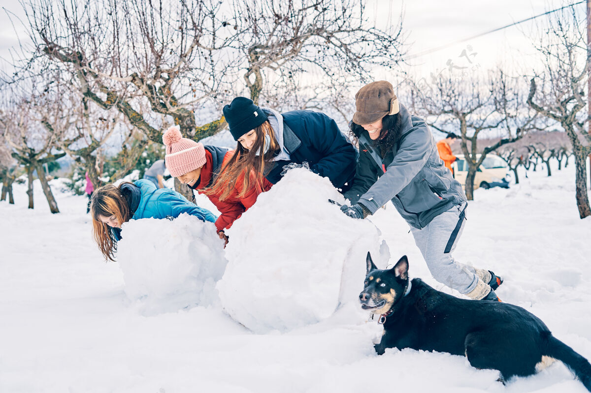 户外四个热情的年轻白人女孩和一只每种颜色都有一只眼睛的狗 在雪地里玩大雪球女孩天气快乐
