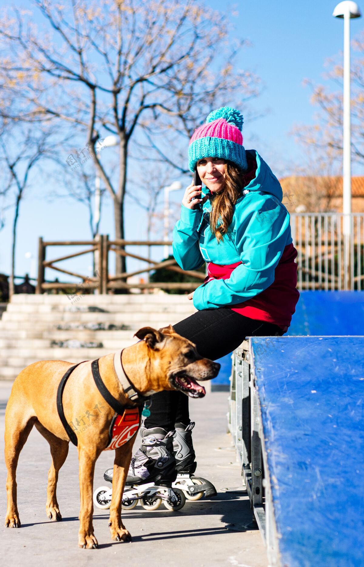 溜冰一位金发溜冰女的肖像狗坐着在滑冰上坡道制造用手机打电话电话.urban滑冰概念娱乐电话街道
