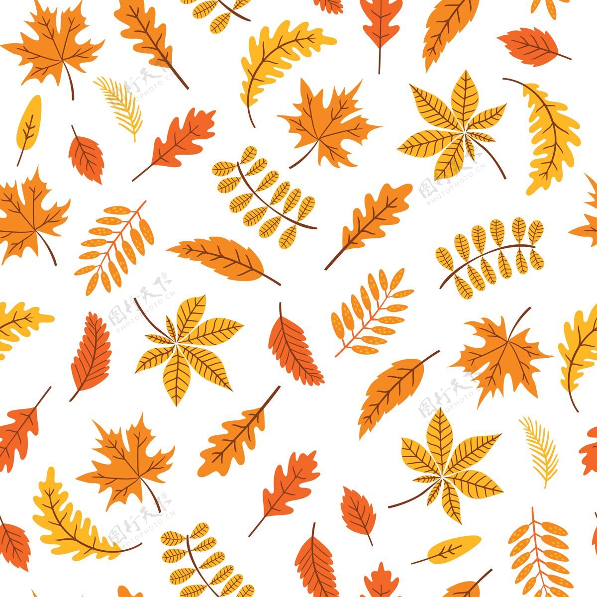 秋天的季节秋叶的无缝图案无缝图案秋叶秋天