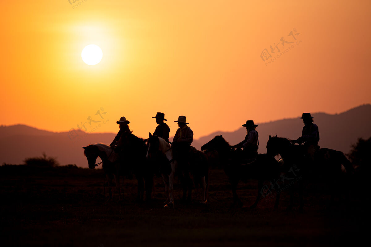 阳光牛仔骑在马背上迎着美丽的日落骑士动作剪影
