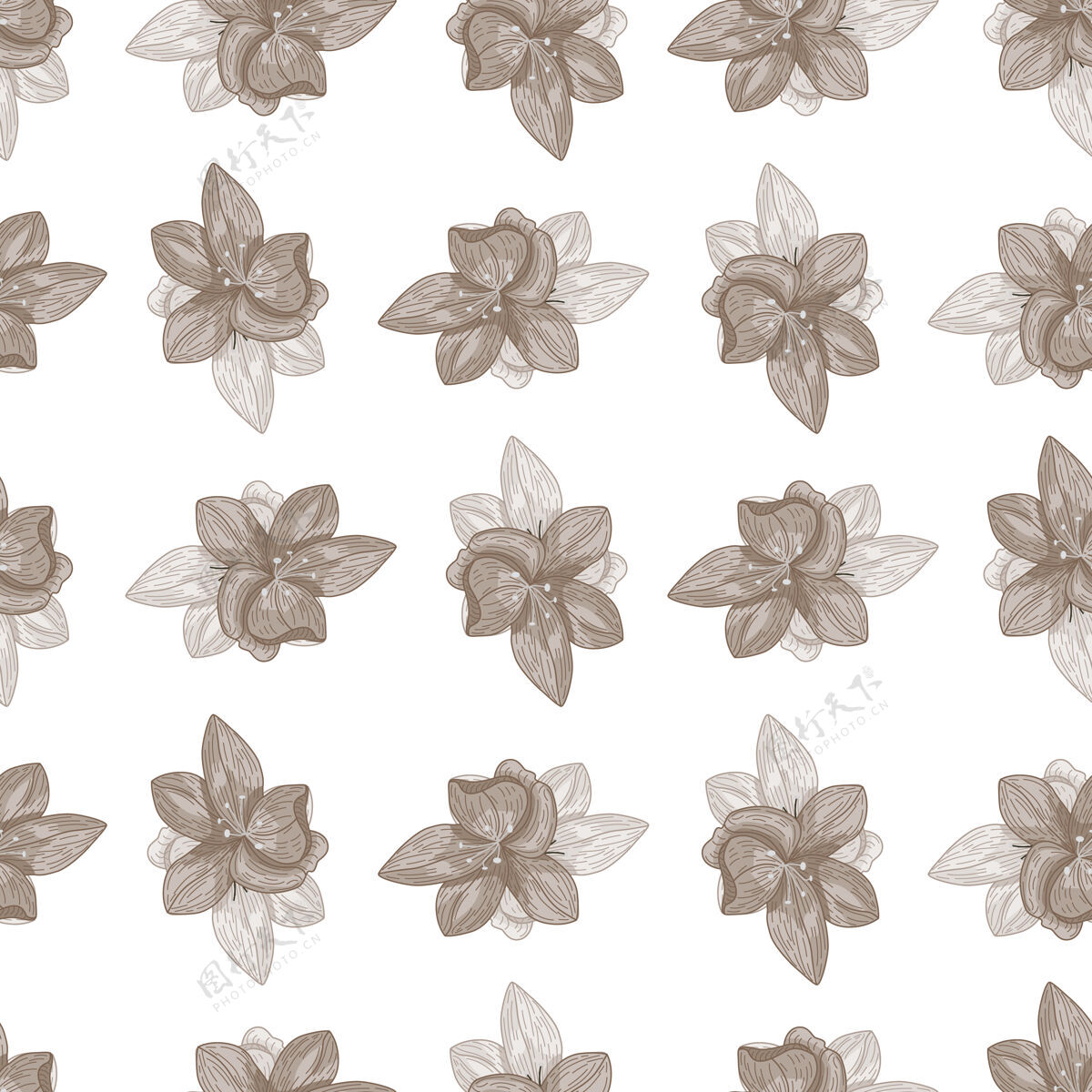 墙纸孤立的植物无缝模式与淡花兰花剪影叶素描复古