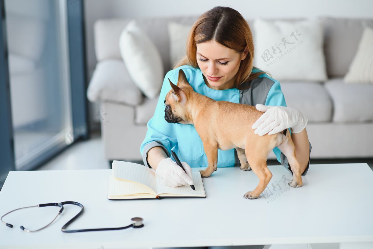 年轻美丽年轻的女兽医在诊所检查狗诊所兽医检查