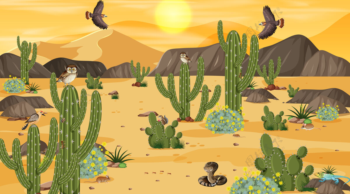 蛇沙漠森林景观 日落景象 沙漠动植物天气卡通可爱