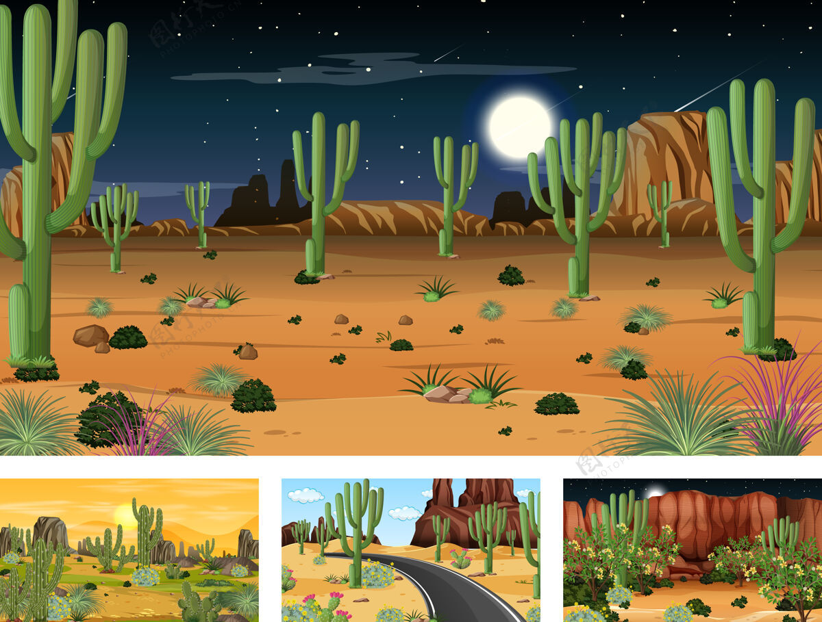 峡谷沙漠森林景观的不同场景绿洲温暖卡通