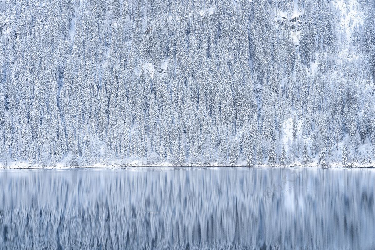 风景湖上白雪覆盖的树木倒影的美丽镜头湖泊倒影冬天