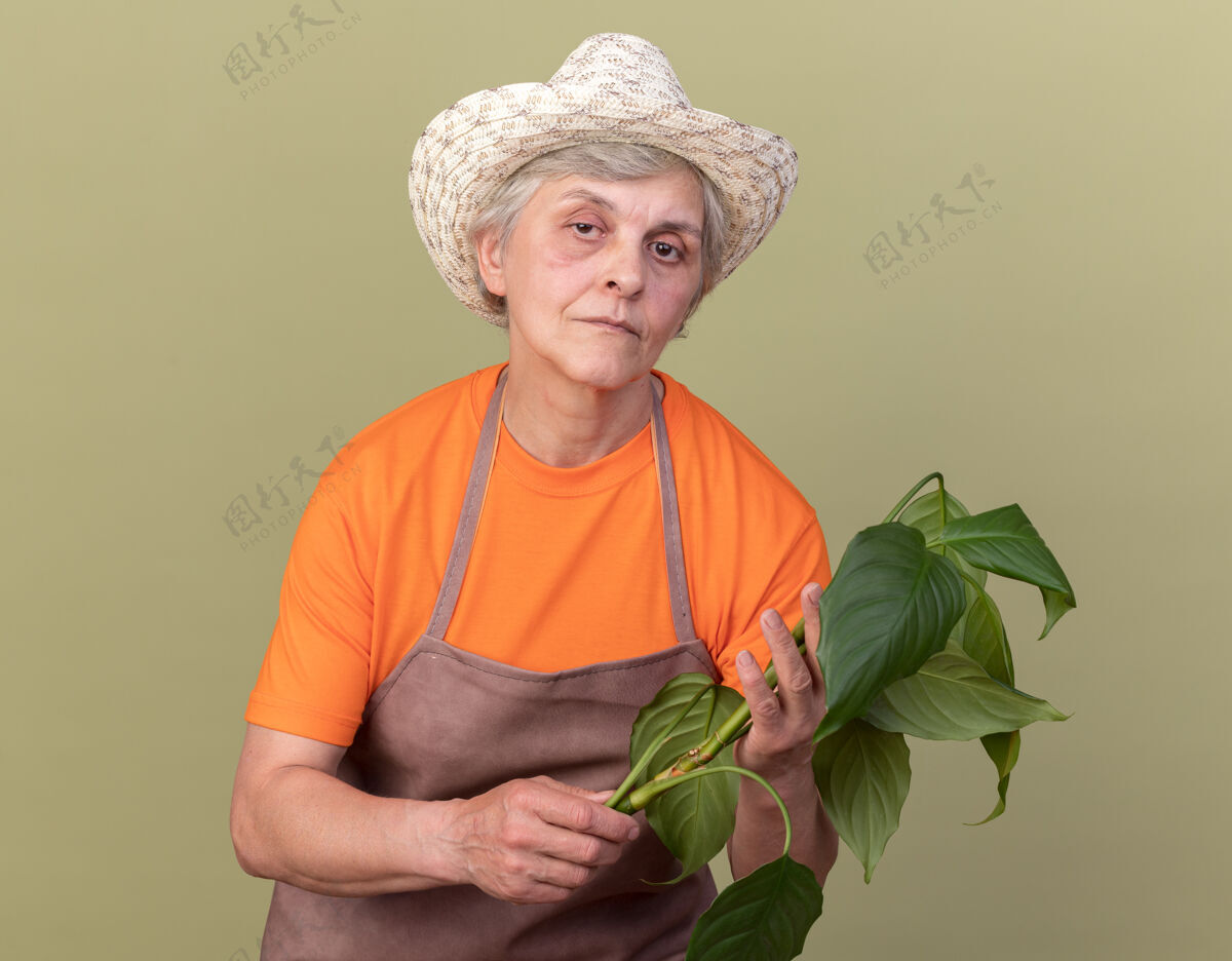 女性自信的上了年纪的女园丁戴着园艺帽拿着植物枝帽子举行穿