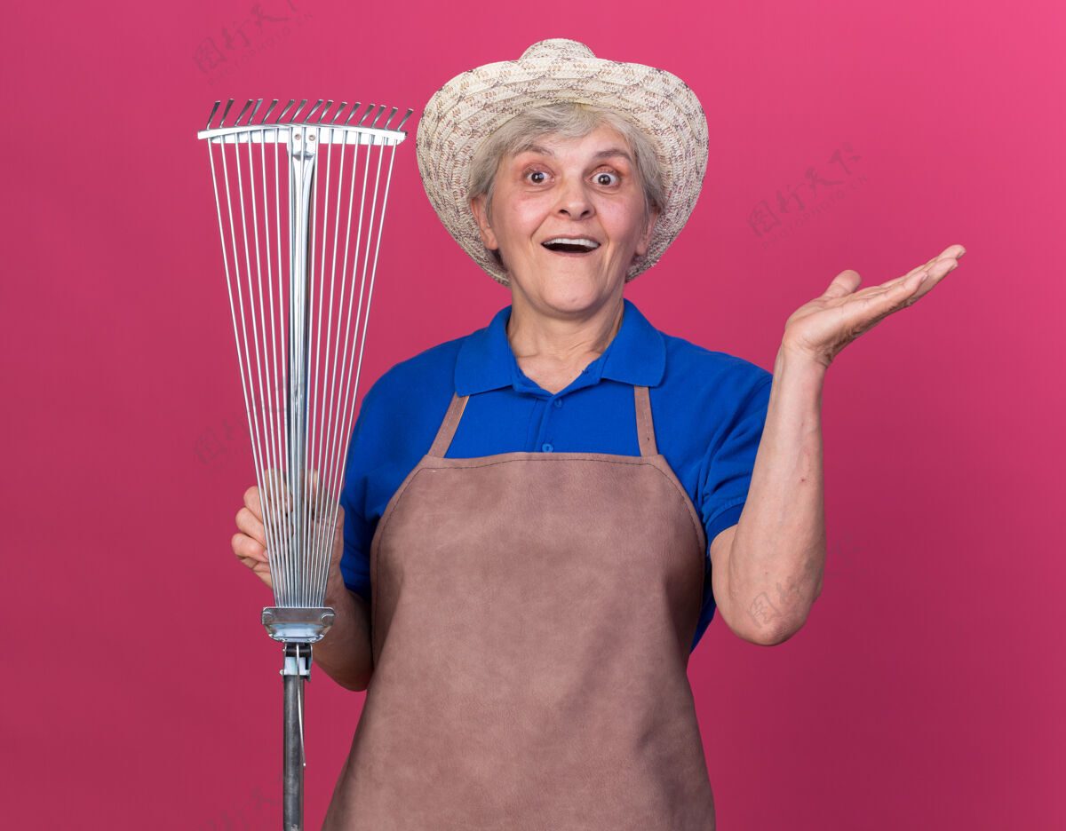 开放惊讶的上了年纪的女园丁戴着园艺帽 手里拿着耙子 手一直开着保持粉色持有