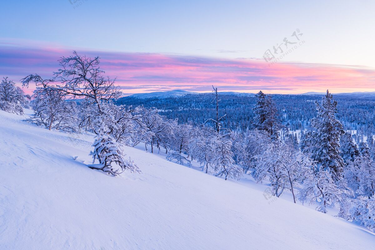 森林挪威日落时分 一片覆盖着白雪的森林令人叹为观止冬天山风景