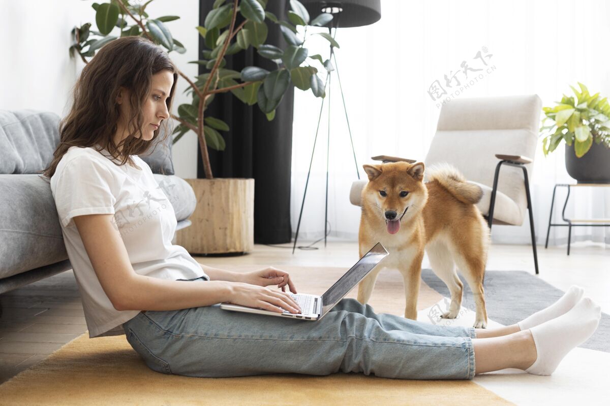 房子女人想和她的狗一起工作游戏生活方式狗