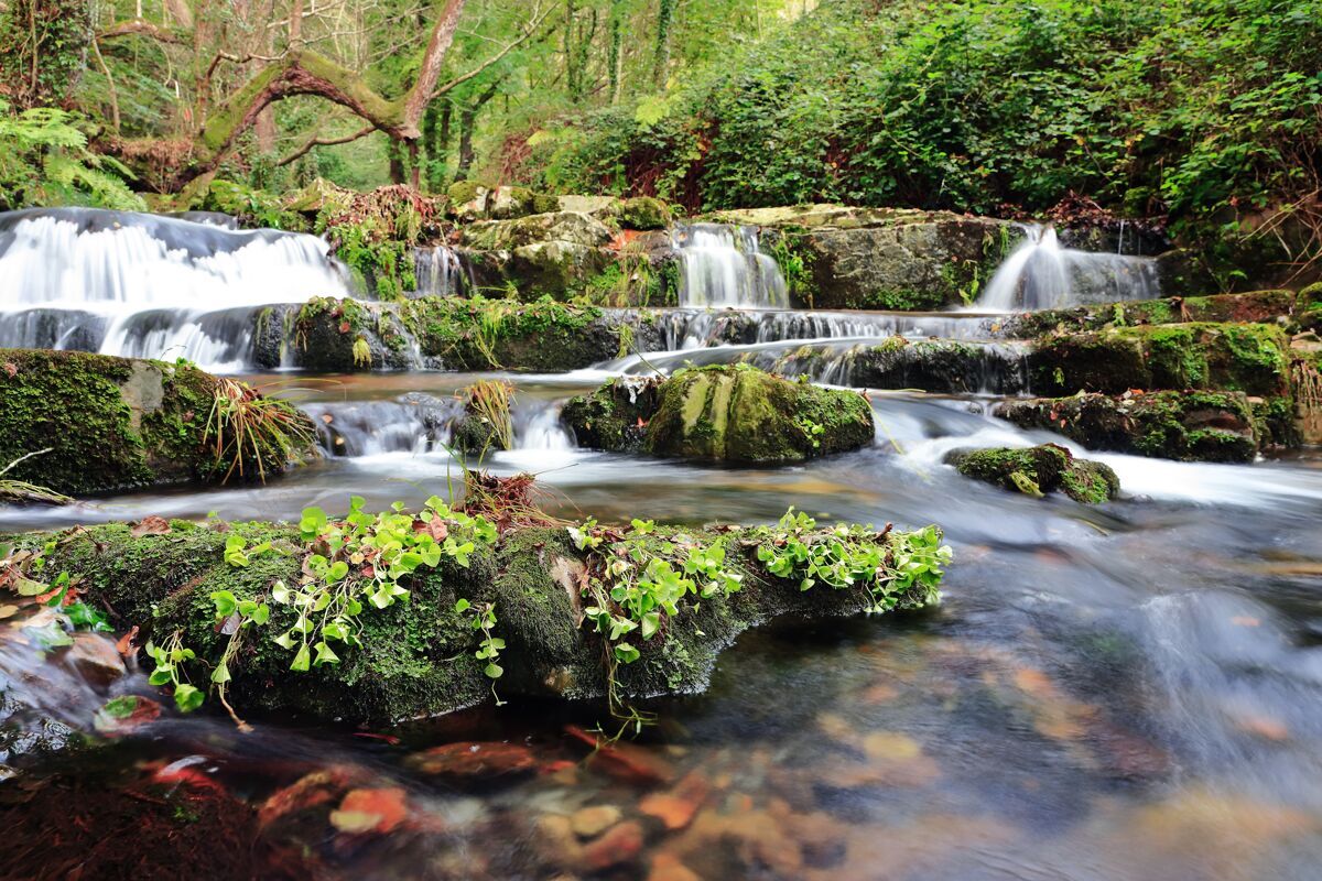 瀑布丛林中的小瀑布和被植物覆盖的大石头的美丽景色生态花园湖泊