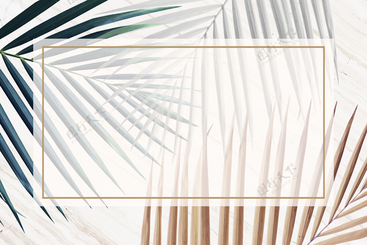 棕榈金属叶子背景上的矩形框架框架棕色叶子棕榈叶