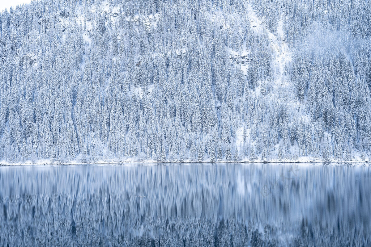 山阿尔卑斯山上许多树上覆盖着白雪 倒映在湖面上的美丽景色野外松树寒冷