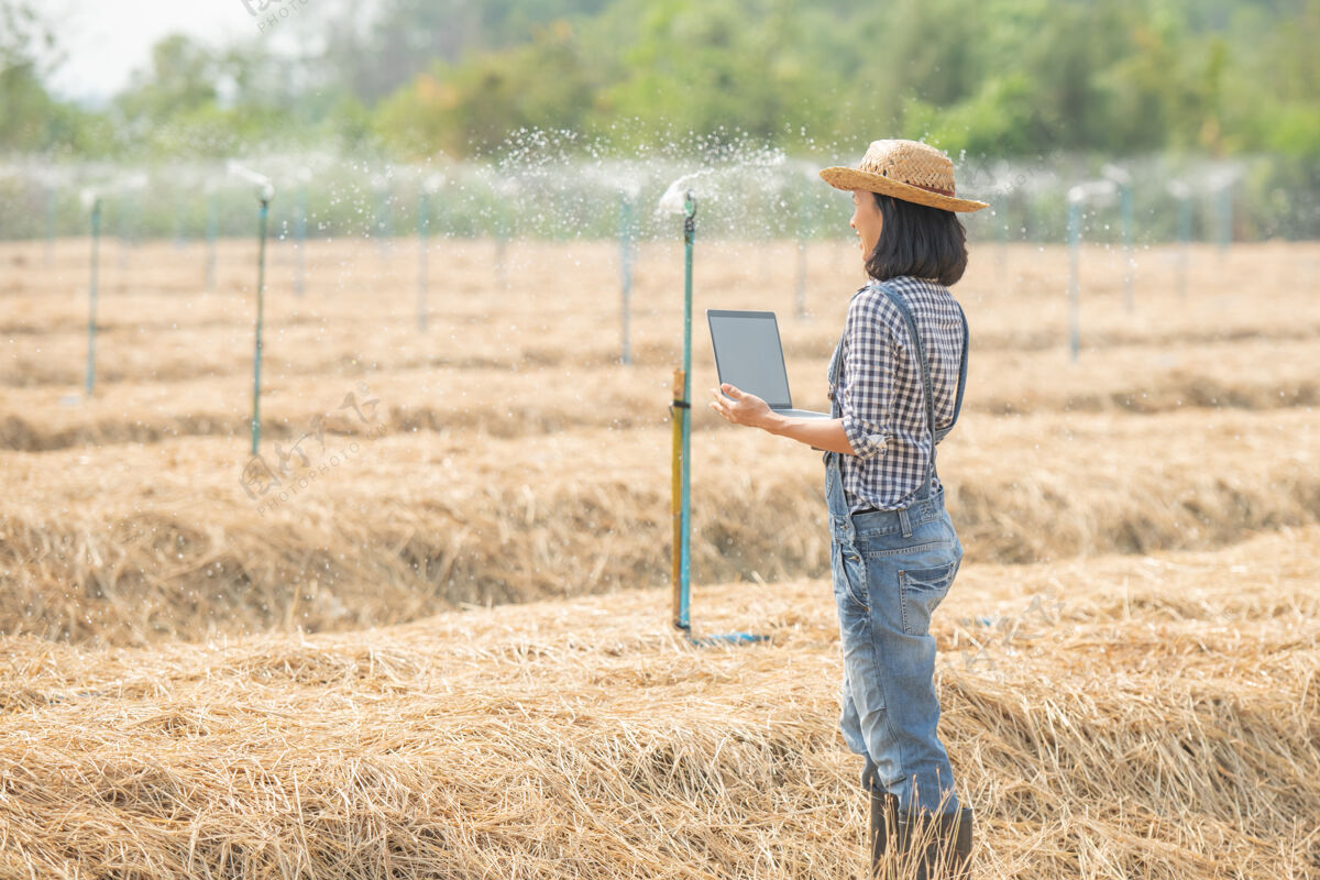 应用程序亚洲年轻的女农民戴着帽子站在地里 在笔记本电脑键盘上打字带着笔记本电脑的妇女监督农田 概念生态 交通 清洁空气 食品 生物制品的工作在线女人日落