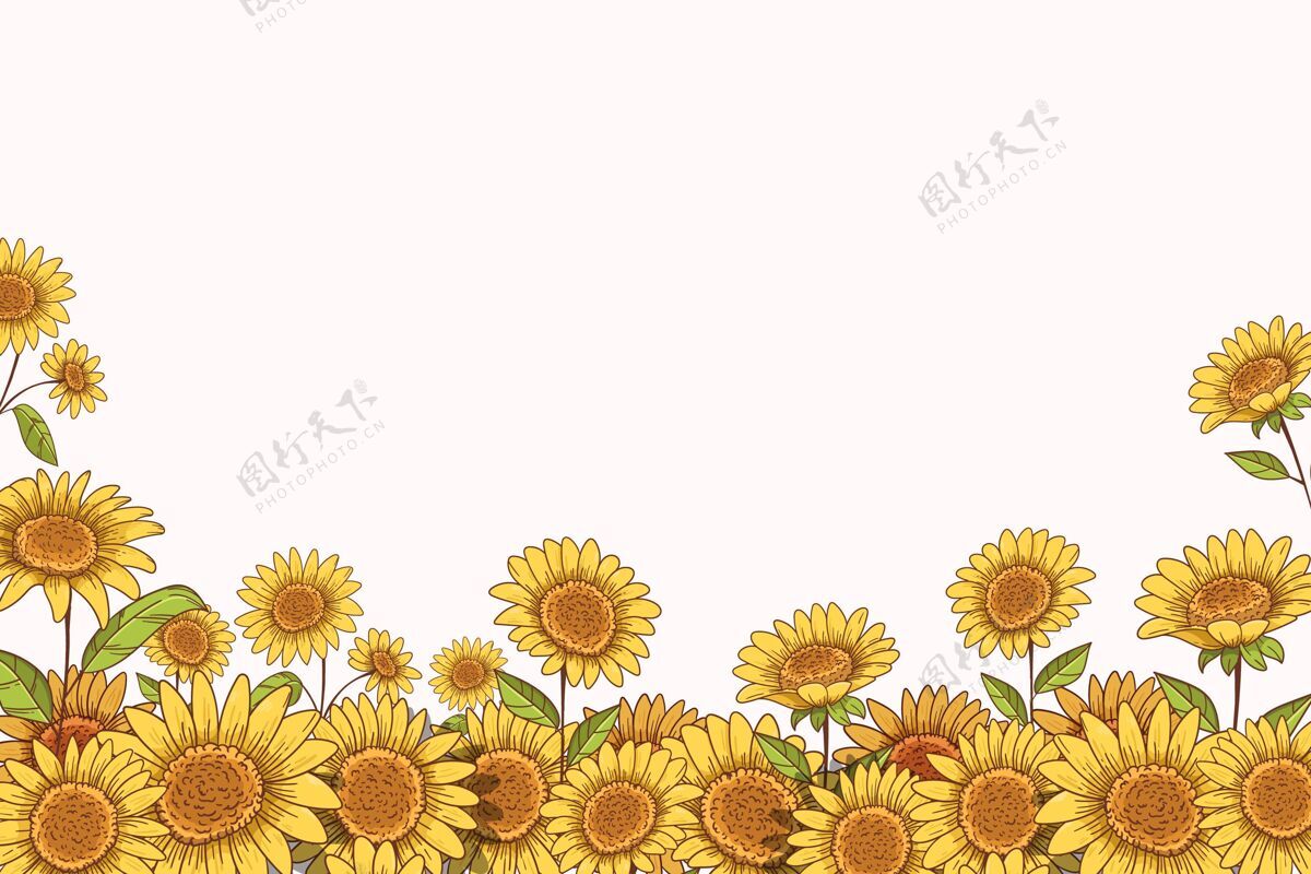 手绘手绘向日葵边界复制空间花向日葵花
