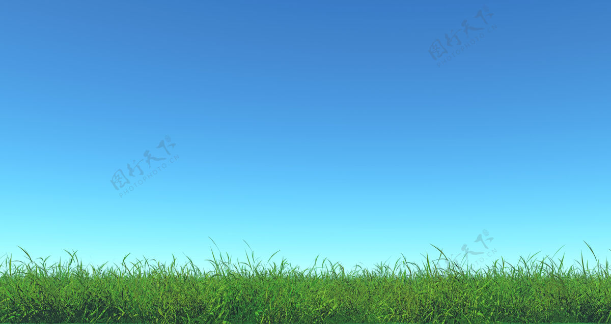 草地绿草蓝天的三维渲染田野草地渲染