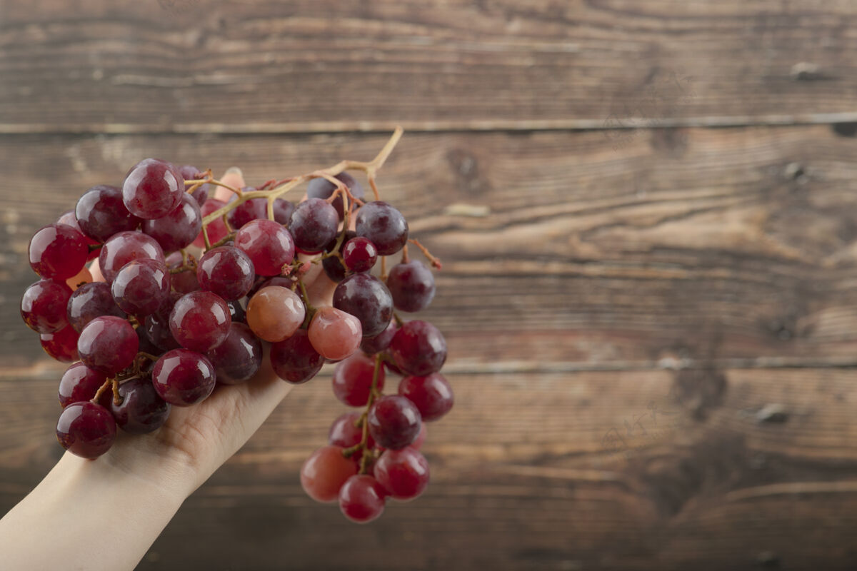 多汁女人手拿一簇红葡萄放在木桌上新鲜有机营养
