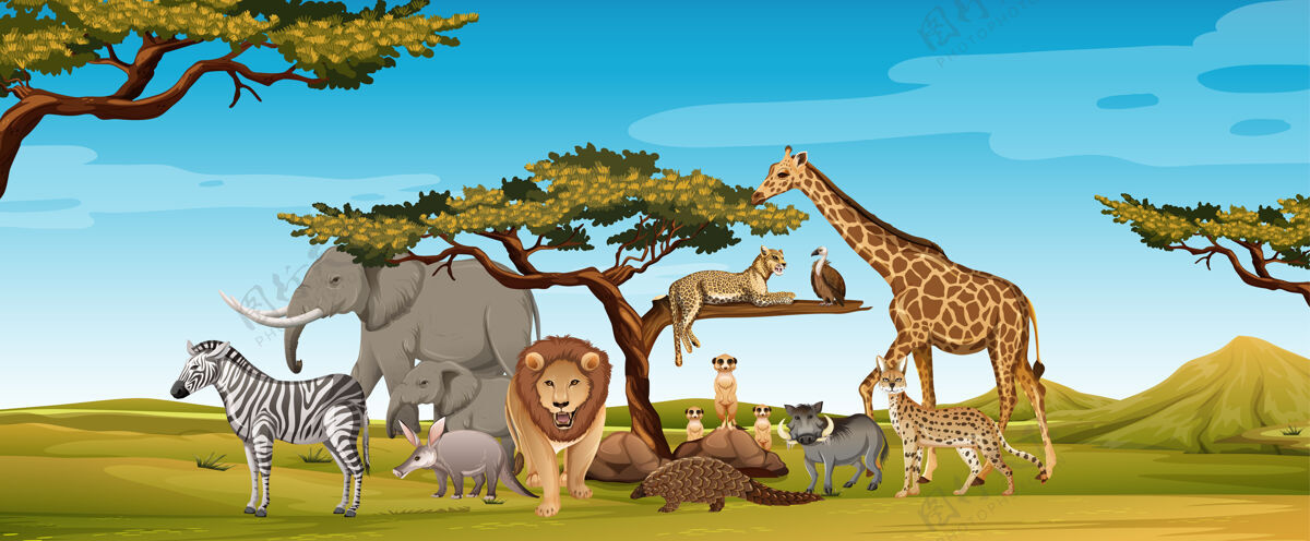 非洲动物园里一群非洲野生动物的场景可爱生活野生