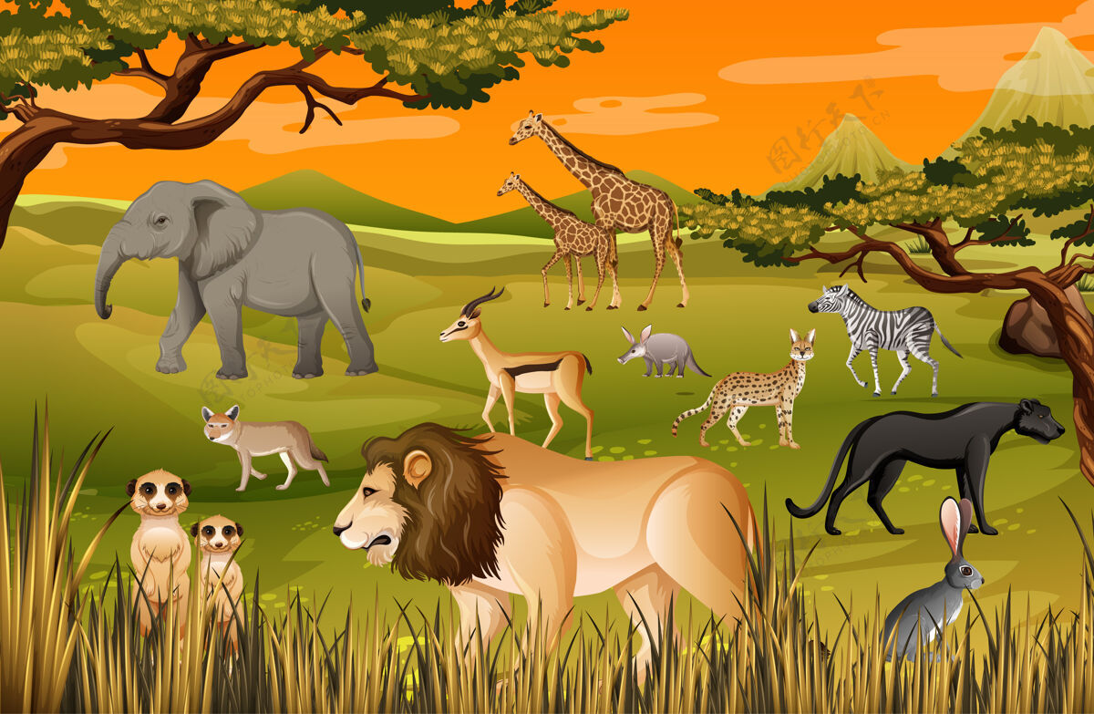动物园森林里的一群非洲野生动物自然外面团体