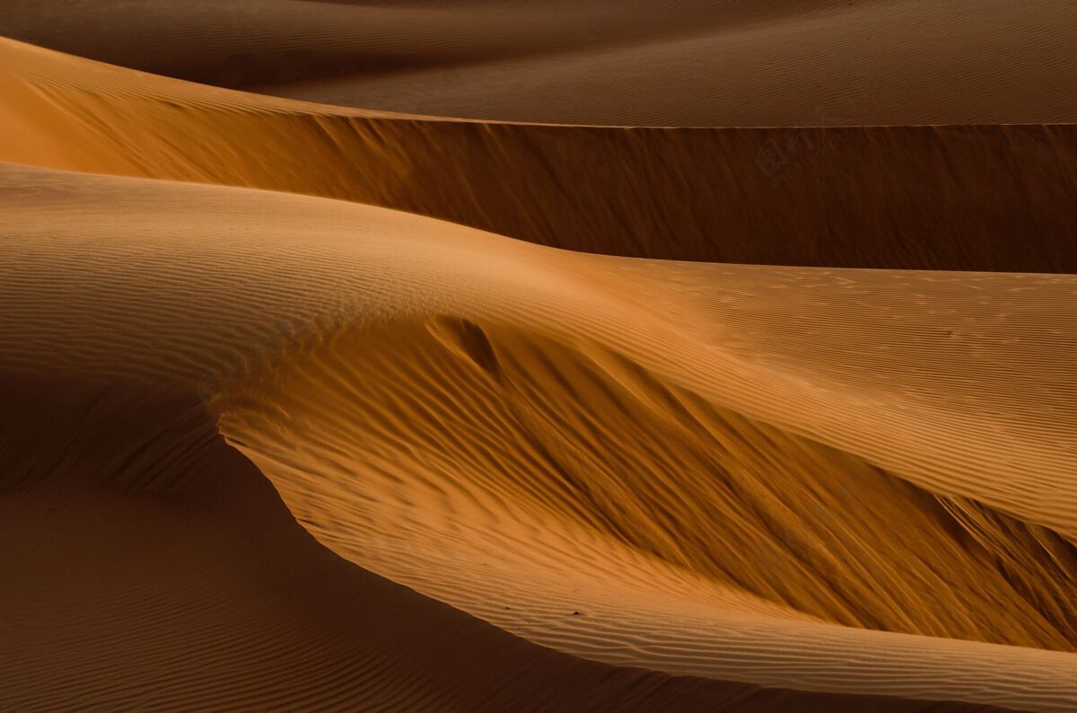 粉拍摄沙漠中美丽的金棕色沙丘灰尘运动特别