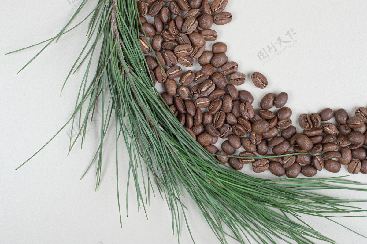 自然一束咖啡豆 灰色表面上有树枝有机咖啡树枝