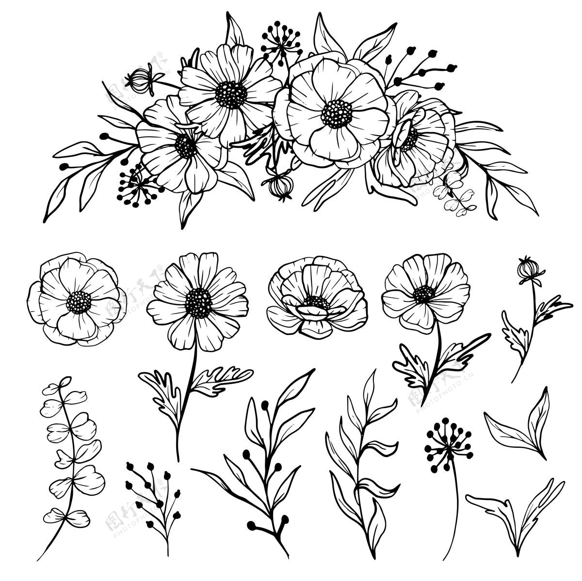 开花孤立的雏菊线艺术花卉剪贴画线艺术植物风格化