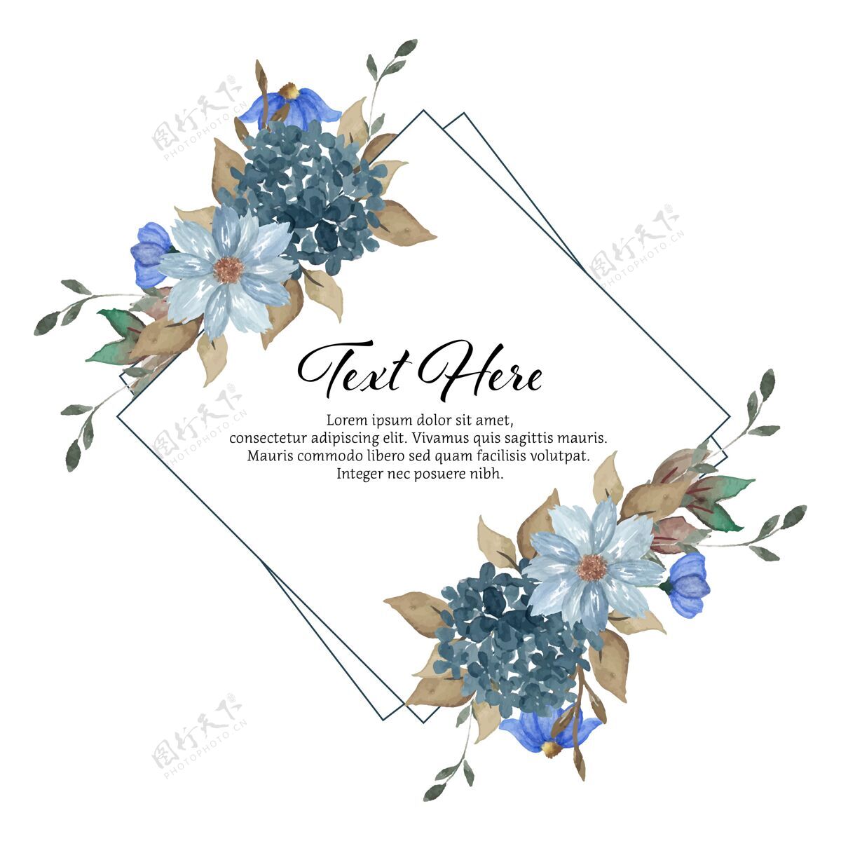 优雅浪漫的靛蓝乡村花框架花环五颜六色水彩