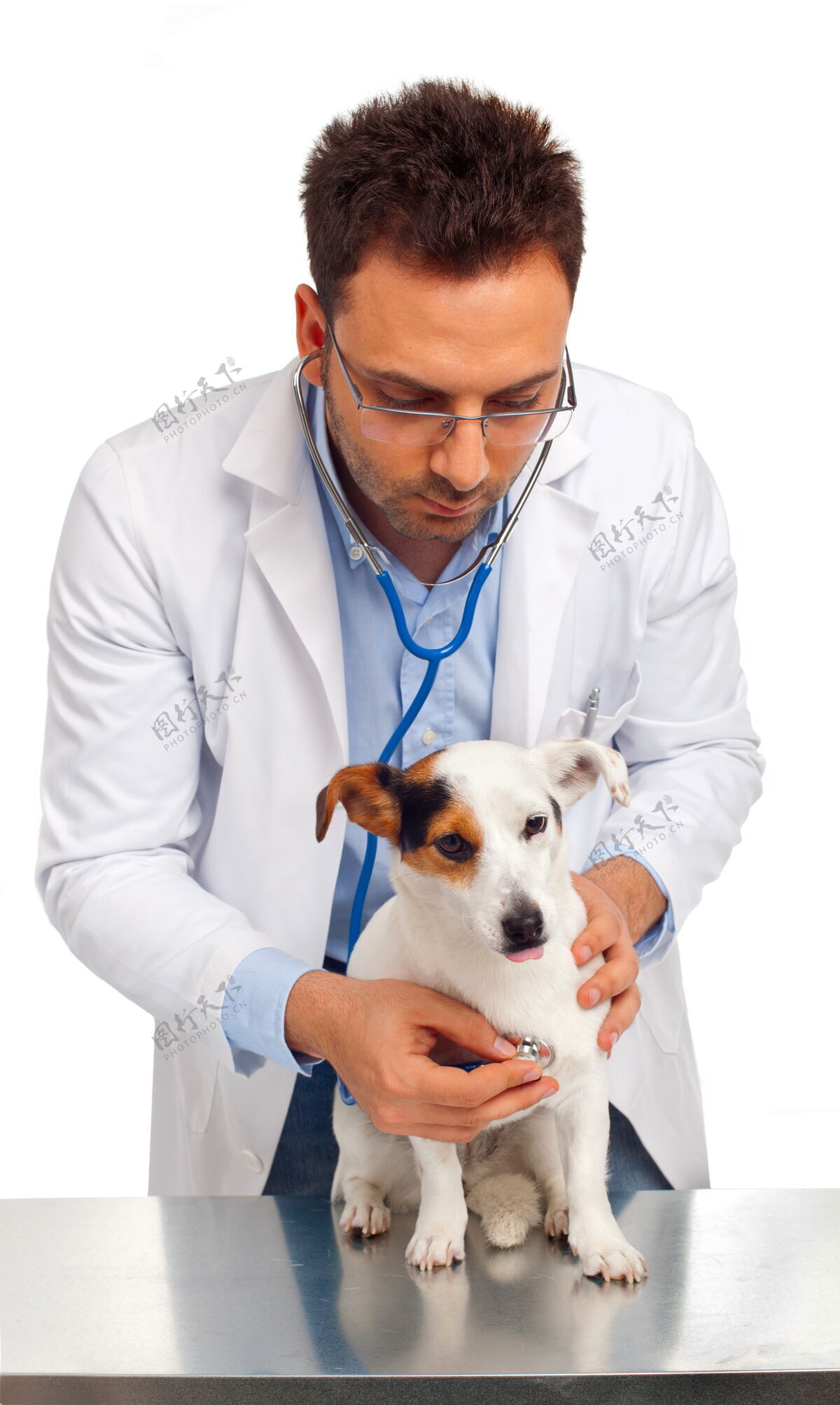 护理兽医和狗医院助理检查