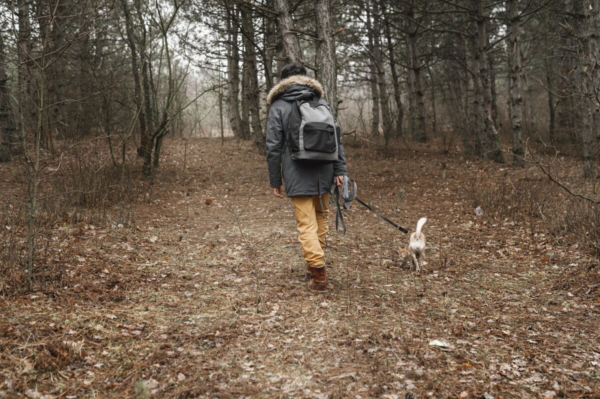 徒步旅行在森林里与可爱的狗全镜头旅行者可爱狗女人